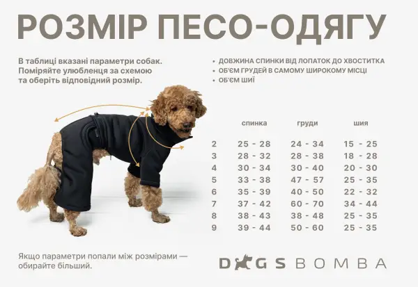 Куртка з фіксаторами фіолетова K-76