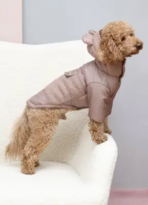 Куртка Teddy беж K-96
