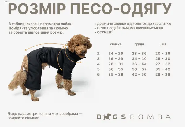 Вишиванка з китицями беж RUB-48