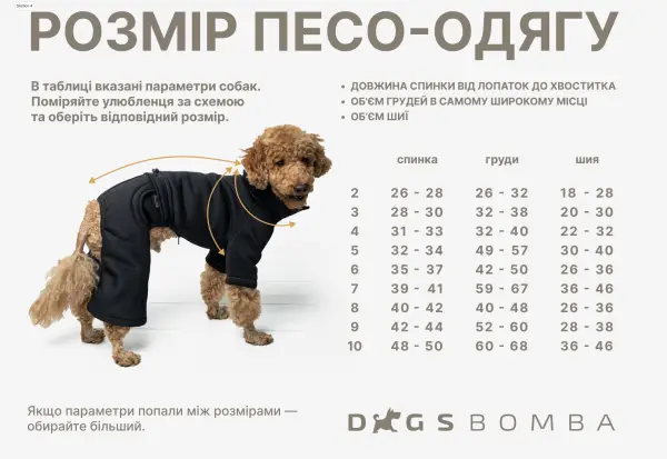 Зимовий комбінезон з поясом зірки чорні R-45