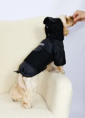 Куртка Teddy чорна K-98